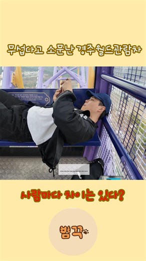 소문무성한 경주월드관람차의 실체