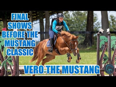 Vero's Final Shows before the Mustang Classic | Vero 18