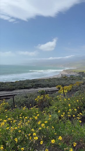 Explore Lompoc on TikTok