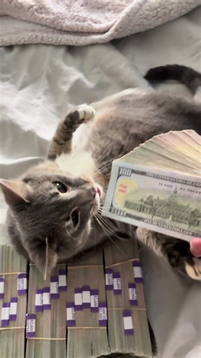 Rapper's Check & Johnny Depp Reference