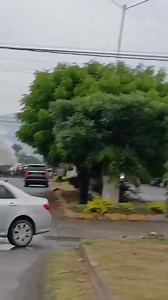 268K views · 2.3K reactions | MIENTRAS CLAUDIA SHEINBAUM CELEBRA EN...