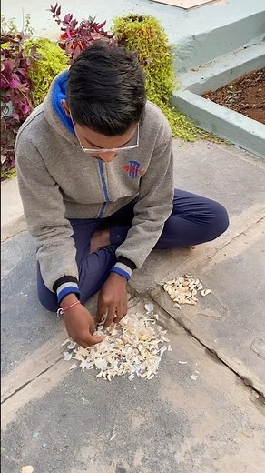 🧄How to grow garlic in containers 🧄