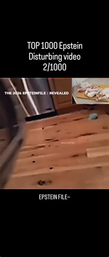 darkepstein.official on Instagram: "Follow to see the original Epstein file video's 🗿 The release of millions of pages of Epstein files Friday has raised more questions than it has answered. Convicted sex offender Jeffrey Epstein's private communications continue to reveal the web of powerful figures who sought his friendship and counsel. Internal notes from the Justice Department show the extent of allegations made against Epstein - but also against others who have not faced criminal charges f