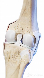 618K views · 1.4K reactions | 例 The Knee Joint: A Complex Structure...