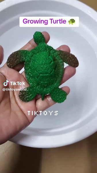 Growing Turtle Toy: Watch It Expand in Water