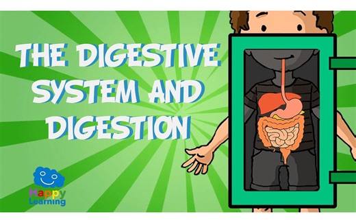 The digestive system and digestion ｜ Educational Video for Kids