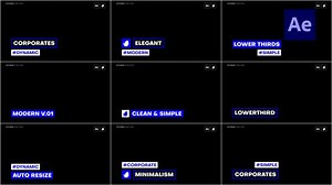 Download Auto Resize Lower Thirds - Videohive - aedownload.com