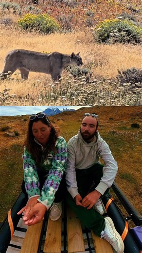 Camila & Fabián on Instagram: "Nos vamos de Torres, con las cámaras llenitas de momentos, nos vamos a hacer el trekking más austral del Mundo! 😍 #Patagonia #torresdelpaine #viajeros #wildlife #chilenosenruta"