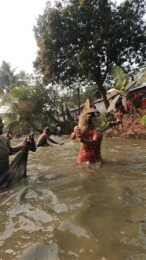 Fish Hunting By Rural Fishing Technique | Fishing Boss
