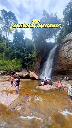 Wayanad Must Visit Places | Top 5 Tourist Spots in Wayanad & Travel Guide 2026 #wayanad #tnexplorer