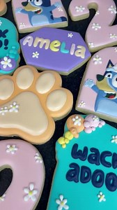 Bluey Character Cookies - Etsy