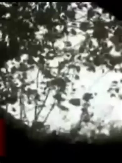 [Big4one82] - [Mistery] - fairy caught on tape real