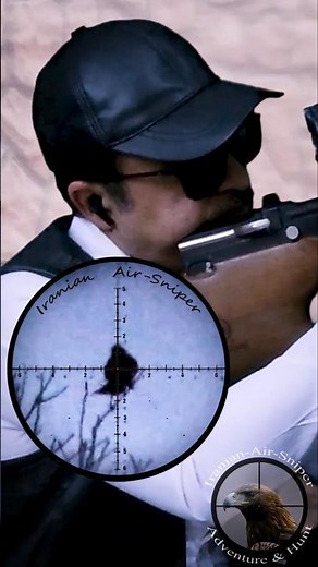 Crow & Magpie Pest Control with PCP Air Rifle - Part 2.2