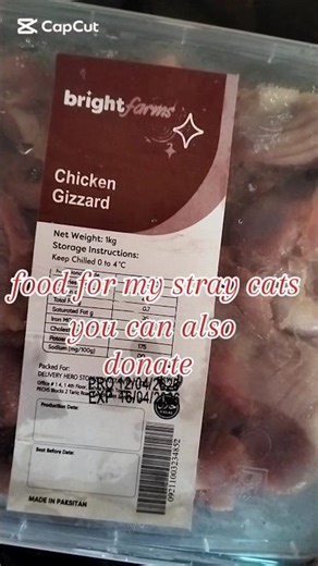 food for my stray cats || online order through food panda 🐼