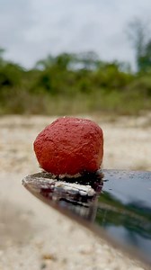 Found a red stone like a strawberry, I wanted to eat it #redstone #stone #strawberry #crystal | The GemsHunter