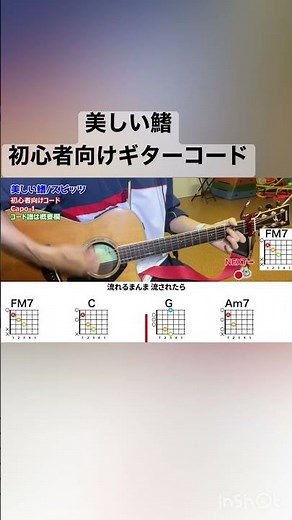 美しい鰭/スピッツの初心向け簡単ギターコード【ショートver】
