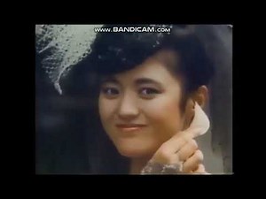 Japanese Logos of 1987 (Part 5) (To : Planetb365 dan Papa Durran Parra)