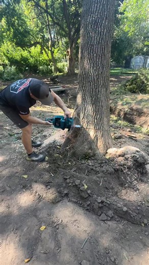 This tree was leaning hard and quite large! In its memory, I am going to mill this massive trunk into maybe a park bench or something that I will install here where I cut this down. Love the @makitatools chainsaw… other than the safety switch needing to be pressed every time if you don’t quickly pull the trigger again! I get it… safety safety! | RR Buildings