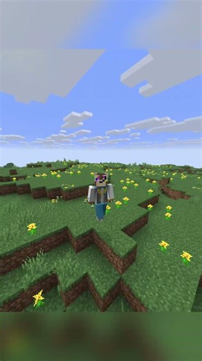 new mc server #minecraft #minecraftserver #minecraftshorts #minecraftsurvival #server #small