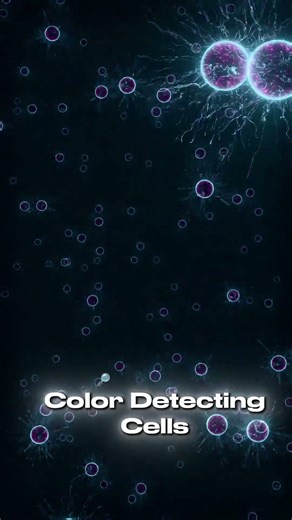 Some People Can See More Colors Than You