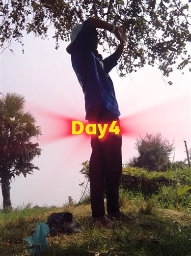 Day 4 of 1000: Mastering Currency Pairs in Trading