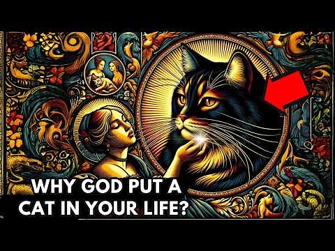 Why Did God Put a CAT In Your Life? The Spirituality of Cats