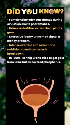 fame unrine odor can change...#facts #virals #knowledge