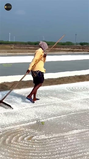 How Salt Is Made from Salty Water 😱 | Mind-Blowing Process Revealed!