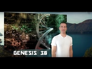Genesis Chapter 30 Summary and What God Wants From Us