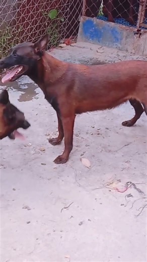 Continuing training for the future# 48