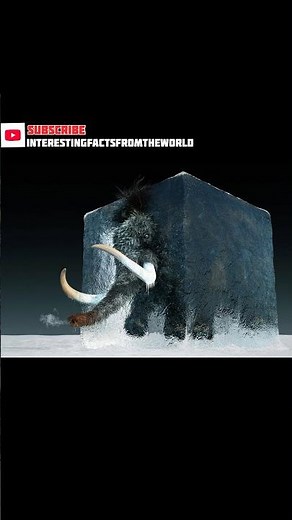 These animals from 40,000 years ago were found in perfect condition 😳