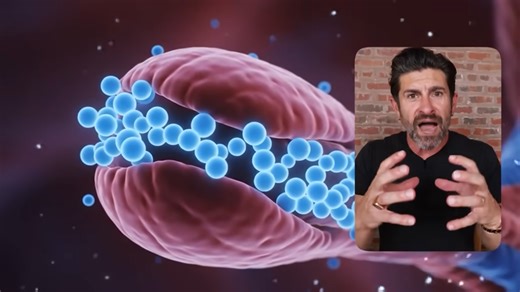 What Happened When I Took Creatine for 30 Days