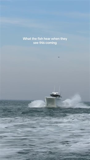 Understanding What Fish Hear When They See Boats