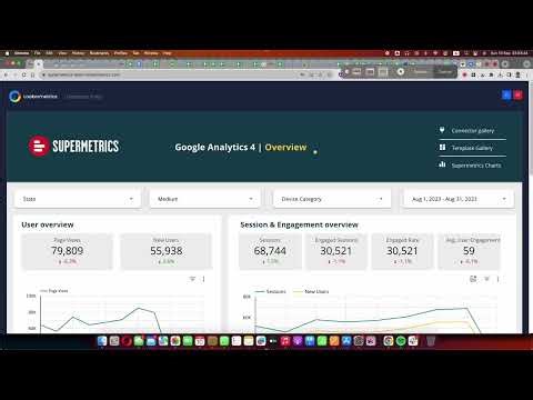 DashPort Demo for Looker Studio + AI Chat Assistant