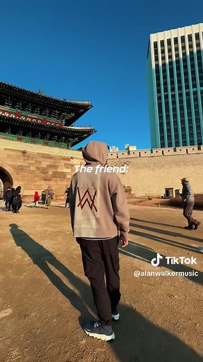We all got a friend like this 😂 | alan walker