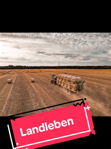 Goldene Stunde auf dem Feld. 🌾 Hab die Drohne mal steigen lassen und diese Shots eingefangen. Es gibt kaum was Entspannteres als die Ernte von oben, oder? 🚁💨 ​#harvest2022 #ernte #dronevideo #agriculture #landwirtschaft