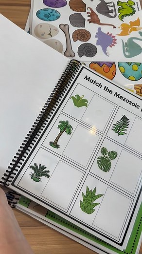 Part 2 of Prepping Easy Matching Weekly Workbooks ⬆️ These workbooks are great to prep once and use over and over all year long. With highly reinforcing themes such as dinosaurs, transportation, holidays, and more, you can find topics that every student will love. 📷: Easy Matching Weekly Workbooks - Dinosaur Edition Comment WEEKLY to get more information about our Easy Matching Weekly Workbooks sent your way! . . . #specialeducationteacher #specialeducation #spedteacherresource #spedteacher #sp