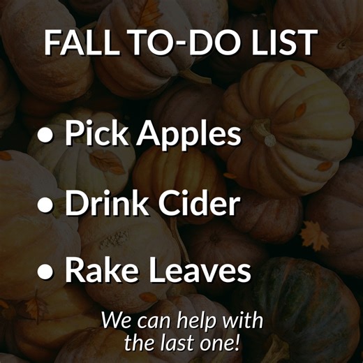 1.1K views | We can only help with one thing on your fall to-do list  Yard waste and leaf collection runs through the end of November — we’ll be there! | Homewood Disposal | Facebook