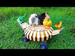 This DIY Hovercraft Will Surprise You