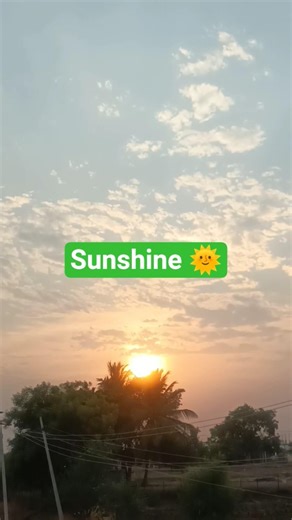 Sunshine 🌞 #shorts #nature #kasarshreeworld