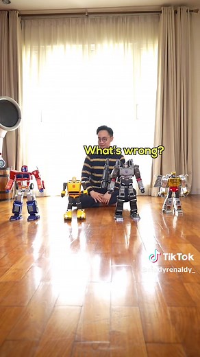 ASMR Transformers: Engaging Transformation Sounds
