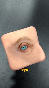 The Most Unsettling Objects I Own.. | Chris Ramsay