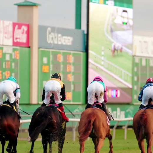 Ready, Set, Let's Race! 🏇 Live thoroughbred horse racing is coming on Saturday May 4th. Buy your tickets for Derby Day at Sam Houston Race Park today. | Sam Houston Race Park