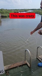 This was a good year for the cast net. How much pounds you think is in that net? #saltwatersaboutdoors #lancebilliot #Shrimp #shrimpseason #SaltwaterFishing #Louisiana | Lance Billiot