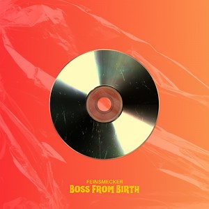 Only One Me - feinsmecker: Song Lyrics, Music Videos & Concerts