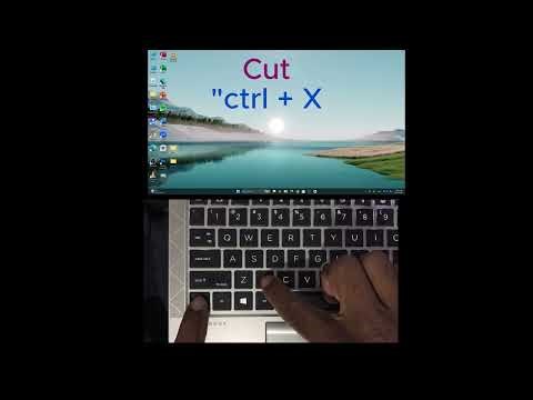 How to Cut & Paste on pc