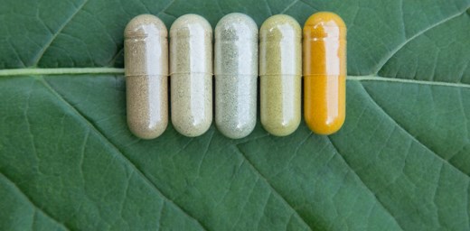 Nature is the world’s original pharmacy – returning to medicine’s roots could help fill drug discovery gaps