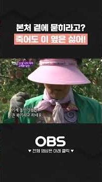 난 죽어도 이 옆은 싫어! 본처 곁에 묻히기 거부한 후처 #씨받이 #시집 #아들 #첫째부인 #둘째부인 #식모 #본처 #후처 #쇼츠 #다큐 #가족