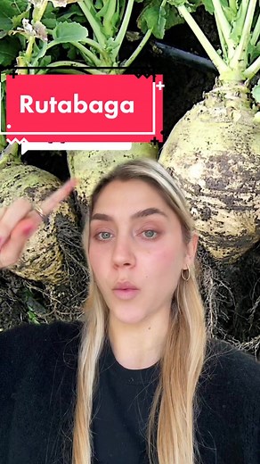 Unveiling the Truth Behind Rutabaga Mystery!