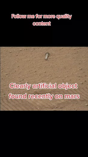 #secrethistory #dinosaur #ww2 #mysterious #cryptozoology #mars #ancientaliens #extraterrestrial #alien #timetravel #ngntd #reels #trending | Troodraco